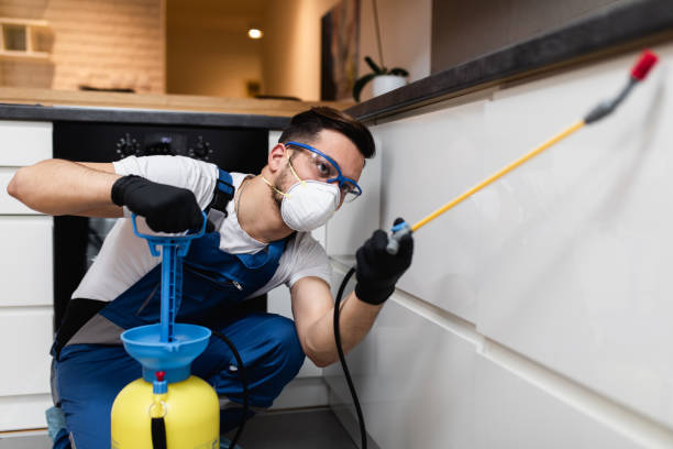 Best Termite Control Services  in Nevada, IA