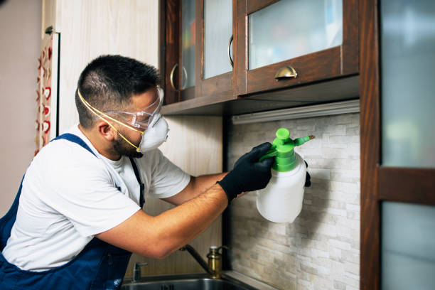Best Emergency Pest Control  in Nevada, IA