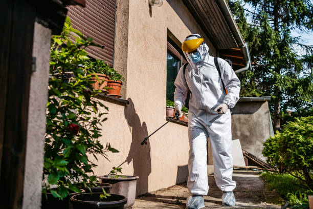 Best Wasp Removal Services  in Nevada, IA