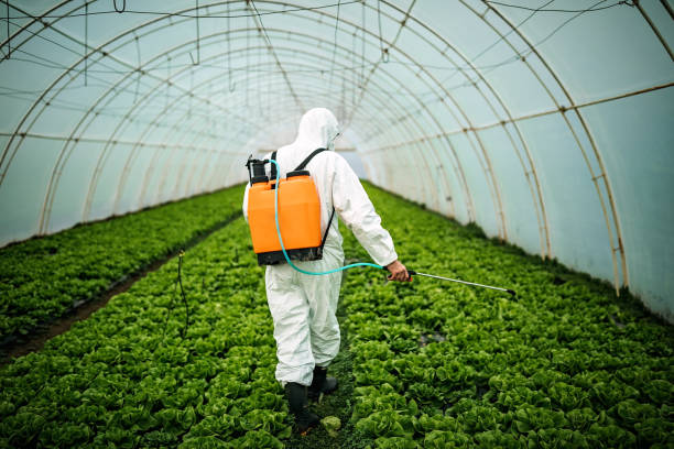 Best Affordable Pest Control Services  in Nevada, IA
