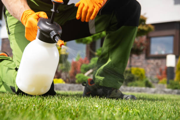 Best Pest Inspection Near Me  in Nevada, IA