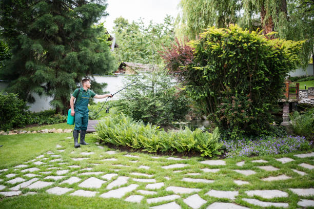 Best Affordable Exterminators  in Nevada, IA