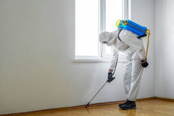 Best Best Pest Control Companies  in Nevada, IA