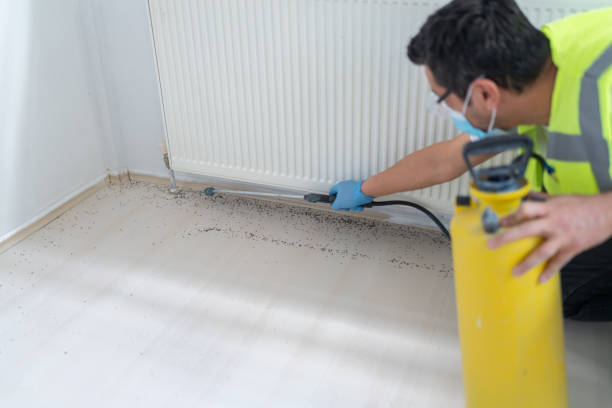 Best Pest Prevention Services  in Nevada, IA