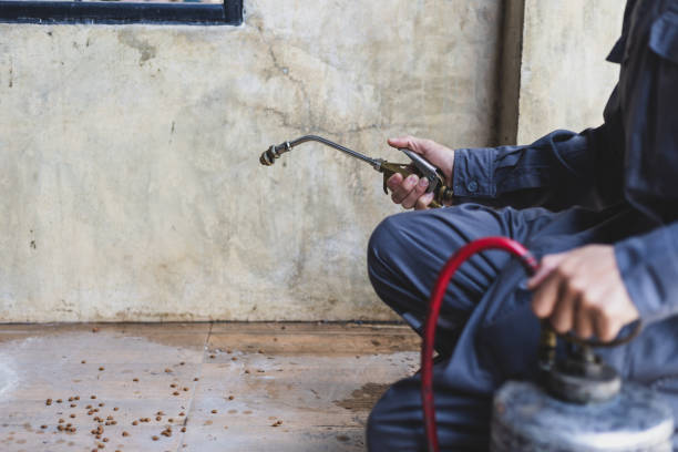 Trusted Nevada, IA Pest Control Experts